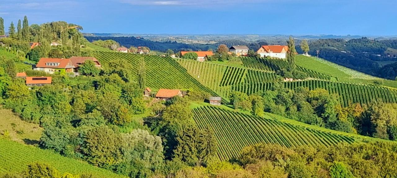 Glanz Und Gloria Weingartenapartment An Der Kellerstrasse, Viele Buschenschaenke, Sehr Ruhige Lage, Herrliche Aussicht! Leutschach Exteriör bild