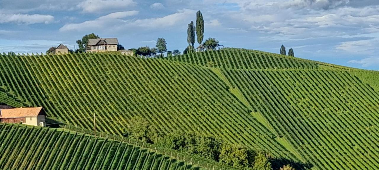Glanz Und Gloria Weingartenapartment An Der Kellerstrasse, Viele Buschenschaenke, Sehr Ruhige Lage, Herrliche Aussicht! Leutschach Exteriör bild