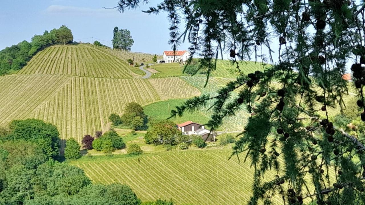 Glanz Und Gloria Weingartenapartment An Der Kellerstrasse, Viele Buschenschaenke, Sehr Ruhige Lage, Herrliche Aussicht! Leutschach Exteriör bild