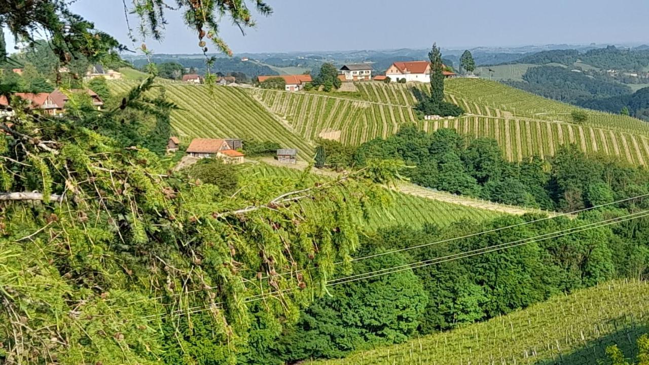 Glanz Und Gloria Weingartenapartment An Der Kellerstrasse, Viele Buschenschaenke, Sehr Ruhige Lage, Herrliche Aussicht! Leutschach Exteriör bild