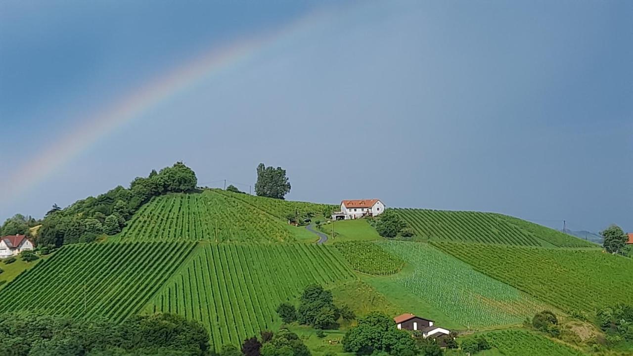 Glanz Und Gloria Weingartenapartment An Der Kellerstrasse, Viele Buschenschaenke, Sehr Ruhige Lage, Herrliche Aussicht! Leutschach Exteriör bild