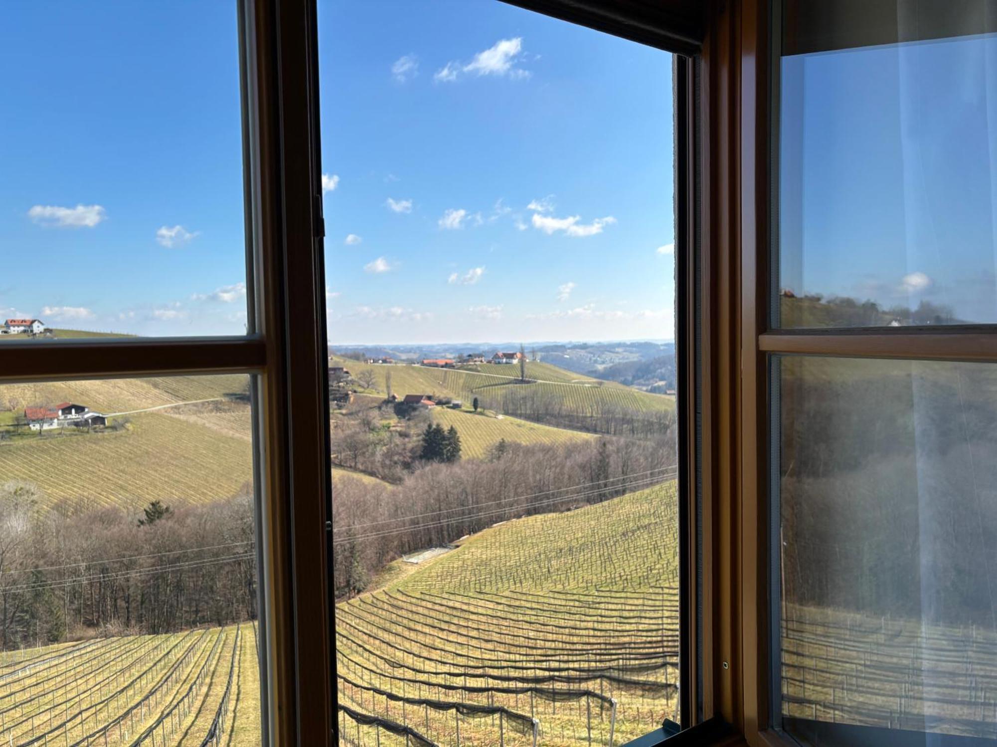 Glanz Und Gloria Weingartenapartment An Der Kellerstrasse, Viele Buschenschaenke, Sehr Ruhige Lage, Herrliche Aussicht! Leutschach Exteriör bild